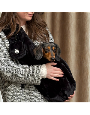 Attache de sécurité intérieure du sac de transport pour chien The Dog Label