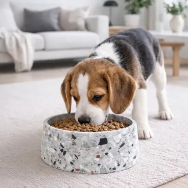 Chien utilisant une gamelle en pierre naturelle Terrazzo - saine et stable