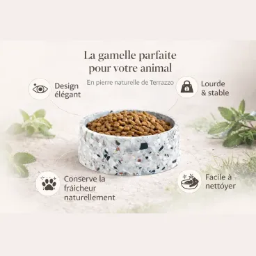 Détail de la pierre naturelle de Terrazzo - texture minérale de la gamelle pour chien