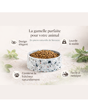 Détail de la pierre naturelle de Terrazzo - texture minérale de la gamelle pour chien