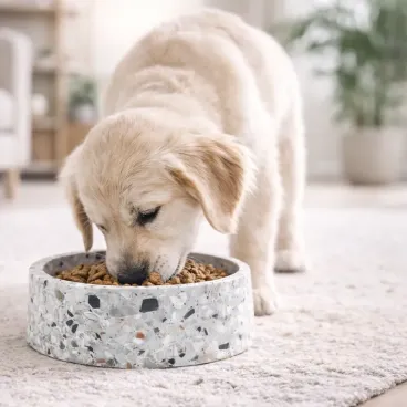 Gamelle en pierre naturelle Terrazzo conservant la fraîcheur de l'eau naturellement.