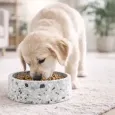 Gamelle en pierre naturelle Terrazzo pour chien - Stable, élégante & durable