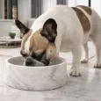 Gamelle pour chien marbre de carrare véritable - Élégance Italienne Unique