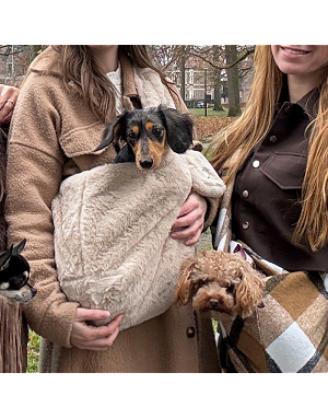 sac-chien-fatigue-ville-transports-confort
