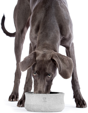 Gamelle Rocky pour grands chiens - stabilité optimale et matériau minéral