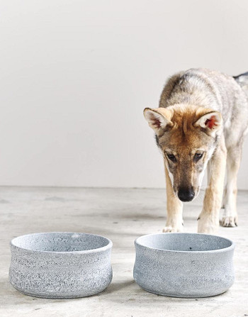 Gamelle Rocky en stéatite naturelle - Design haut de gamme pour chien - Bella Concept Store Dog