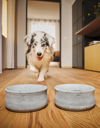 Gamelle Rocky en stéatite naturelle - Design haut de gamme pour chien - Bella Concept Store Dog