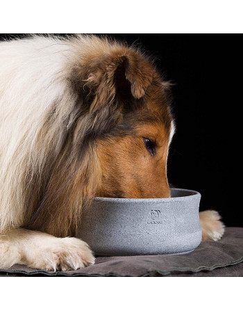 Gamelle Rocky en stéatite naturelle - Design haut de gamme pour chien - Bella Concept Store Dog
