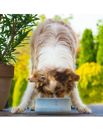 Gamelle Rocky en stéatite naturelle - Design haut de gamme pour chien - Bella Concept Store Dog