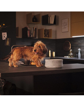 Gamelle Rocky en stéatite naturelle - Design haut de gamme pour chien - Bella Concept Store Dog