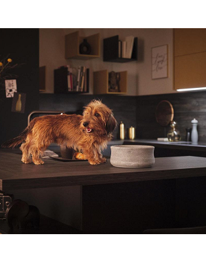 gamelle rafraîchissante chien chat Laboni