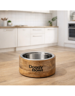 Gamelle bambou et inox avec croquettes pour chien.