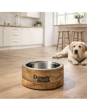 Gamelle bambou Doggy bowl avec  eau pour chien et chat