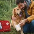 Trousse de premiers secours pour chien - Element VET