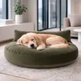 Coussin pour chien design Luna lounge Oxford olive - Laboni