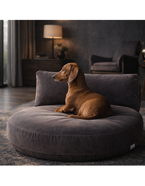 chien-allonge-coussin-luna-lounge-stone-interieur-moderne