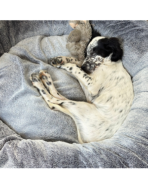 couchage donut chien apaisant et douillet