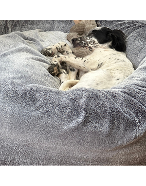 coussin donut chien haut de gamme
