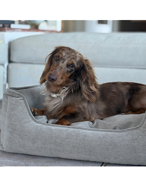 Panier pour chien velours côtelé beige intégré dans un salon contemporain élégant