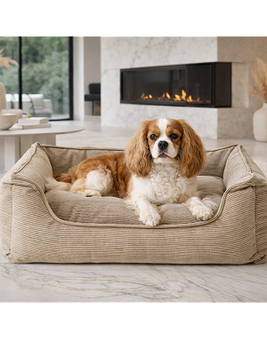 Vue de côté du panier pour chien en velours côtelé beige avec chien au repos