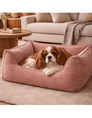 Panier pour chien rose en velours côtelé – vue plongée graphique dans un salon moderne
