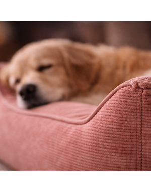 Panier pour chien en velours côtelé rose intégré dans un intérieur contemporain