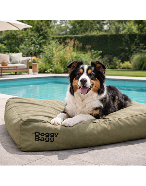 Coussin rectangulaire Doggy Bagg pour chien et chat – usage intérieur design