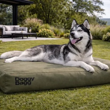 Chat endormi sur coussin outdoor Doggy Bagg toile technique kaki