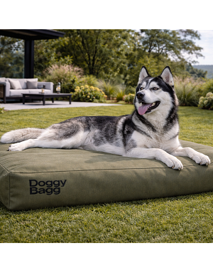 Chat endormi sur coussin outdoor Doggy Bagg toile technique kaki