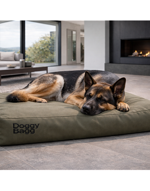 Gros plan coussin Doggy Bagg olive avec chat au repos – confort premium