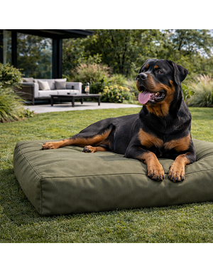 Chat paisible sur coussin Doggy Bagg X-Treme – matière résistante et élégante