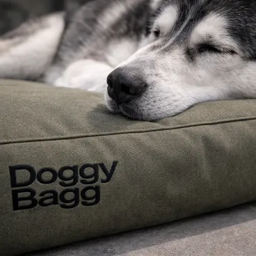 Chat paisible sur coussin Doggy Bagg X-Treme – matière résistante et élégante