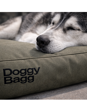 Chat paisible sur coussin Doggy Bagg X-Treme – matière résistante et élégante