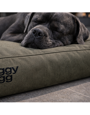 Grand chien confortablement installé sur coussin Doggy Bagg toile outdoor haut de gamme