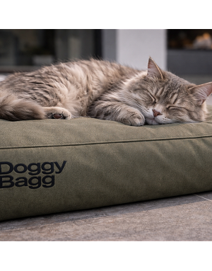Chat tigré gris dormant sur coussin Doggy Bagg olive en intérieur moderne