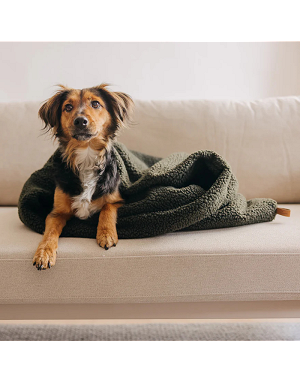 Sac de couchage chien gigoteuse peluche vert
