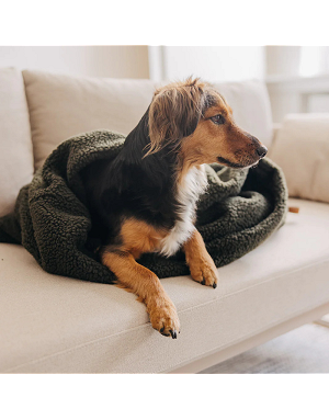 Gigoteuse pour chien et chat  effet cocon