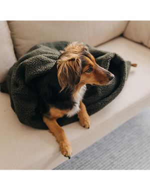Sac de couchage pour chien peluche douce