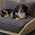 Panier pour chien design Vogue Oxford Stone - LABONI