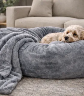 Panier Donuts pour chien design et confortable.