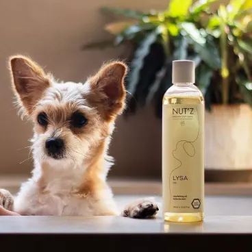 Soin bien être naturel pour chien avec huile Nut'z