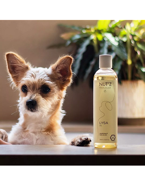 Soin bien être naturel pour chien avec huile Nut'z