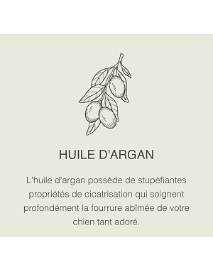 Huile d’argan bio – réparation intense du pelage de votre chien