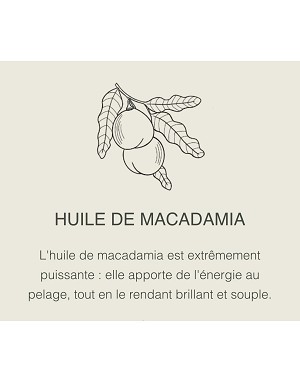 Huile de macadamia – éclat et souplesse pour le pelage canin