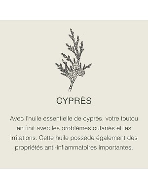 Huile essentielle de cyprès – soin apaisant pour chien sensible