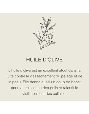 Huile d’olive – protection anti-dessèchement du poil du chien