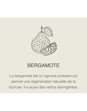 Bergamote – tonique naturel et régénérant pour la fourrure du chien