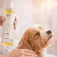Huile de soin et de massage apaisante pour chien - Nut'z by Lysa