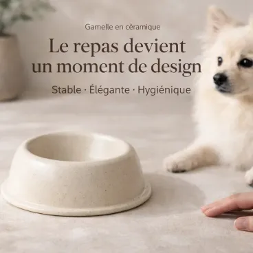 gamelle pour chien ceramique robuste facile nettoyage lave vaisselle