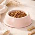 Gamelle rose pour chien & chat en céramique - Cafide